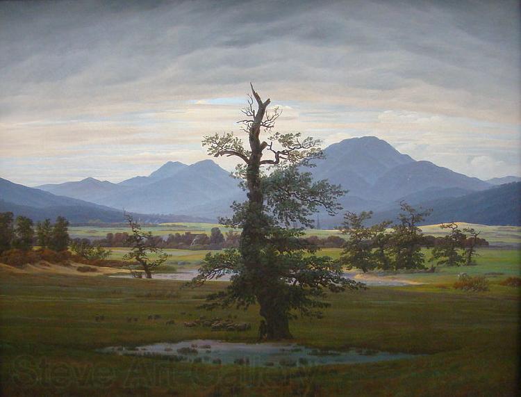 Caspar David Friedrich Landscape with Solitary Tree Germany oil painting art